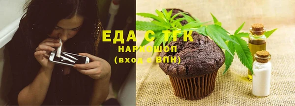ешки Бородино