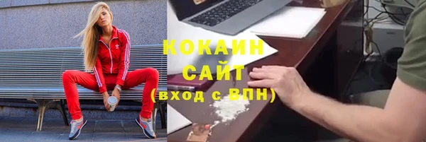 ешки Бородино