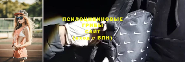 ешки Бородино