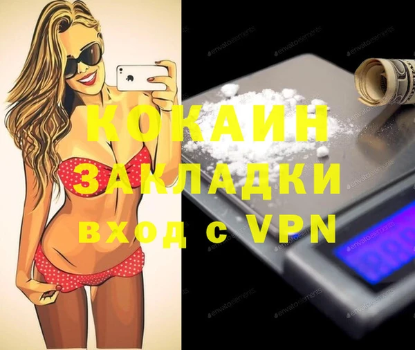ешки Бородино