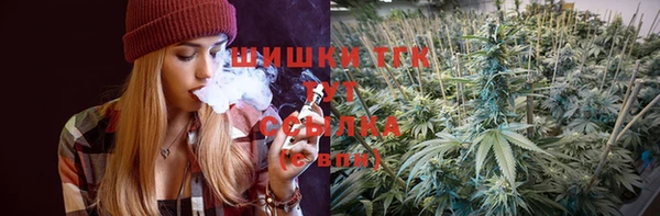 дживик Чегем