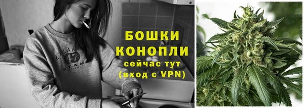 ешки Бородино